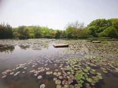 -白马涧龙池景区