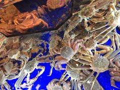 -蟹道乐(道顿堀本店)