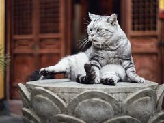 -龙华寺