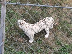 -石家庄市动物园