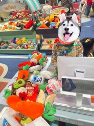-奈尔宝家庭中心·亲子餐厅(北京东坝万达店)