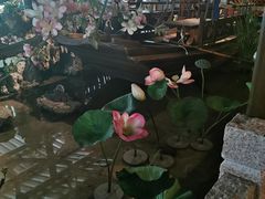 -越城记黑鱼煲(福侨大厦店)