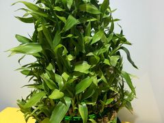 -方快-照相馆(金桥国际店)