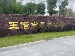-王借岗森林公园