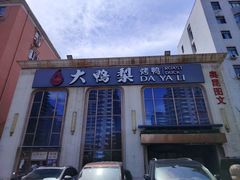 -大鸭梨烤鸭店(花园村店)