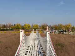 -嘉北郊野公园