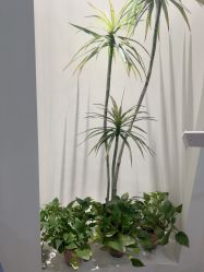 -VE专注问题肌·赛诺龙&科学美肤中心