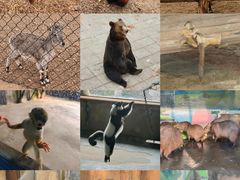 -大连森林动物园