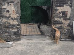 -民信老铺(东方广场店)