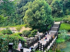 -桃花岭景区