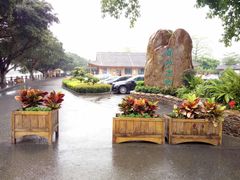 -大湾区中央湿地公园