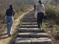 -冶父山国家森林公园
