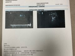 -丹景宠物医院·全科·老年病·牙科(武昌诊疗中心)