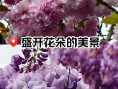 -铁路文化公园