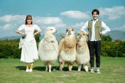 点击看大图 -太古映画婚纱摄影(天河店)