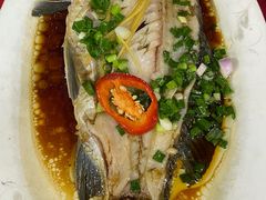 -先鲜鲫鱼粥