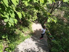 -沂蒙山旅游区云蒙景区(蒙山国家森林公园)