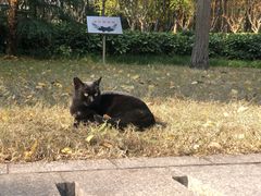 -苏州河梦清园环保主题公园