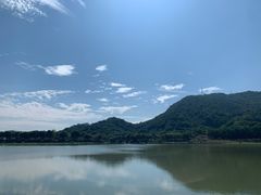 -风云岭森林公园