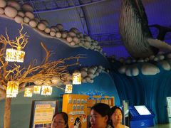 -烟台海昌鲸鲨海洋公园