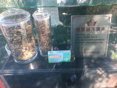 -广州神农草堂中医药博物馆