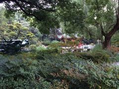 iphone_upload_pic-申粤轩酒楼·三十年粤菜经典(丁香花园店)