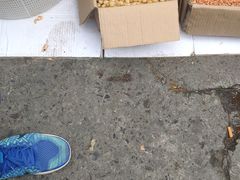 -苹果花园(金耀南路店)