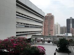 -香港大学