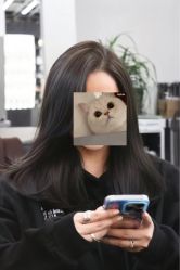 -蚂蚁造型俱乐部