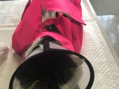 -瑞派福兴宠物医院犬猫全科·骨科·中西医结合(河东店)