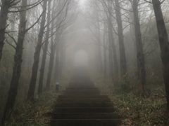 -东白山