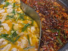 -胖子鱼·油泼甘谷辣子炝活鱼(秦州407店)