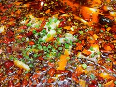 -爱妻鱼•老体北重庆水煮鱼•川菜(白云路店)