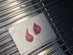 -贝利宠物医院·骨科·眼科·肿瘤转诊中心(南坪诊疗中心)