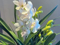 -宫燕府·京菜·烤鸭·淮扬菜(王府中心店)