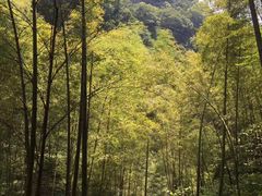 -溪口-滕头旅游景区