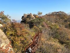 -大岭沟猕猴桃谷风景区