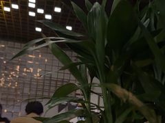 -ibarrel爱杯·bistro&brunch(江宁路店)