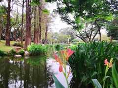 -人民公园(罗湖区)