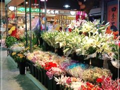 -大自然花鸟鱼虫市场