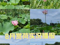 -太阳宫公园