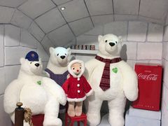 -济州岛泰迪熊博物馆