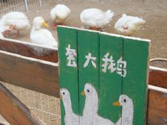 -HERRE·FARM 赫尔露营农场·团建聚会包场
