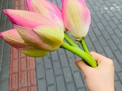-独墅湖南(地铁站)