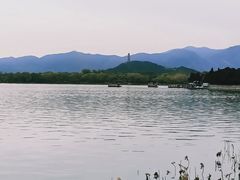-后海公园