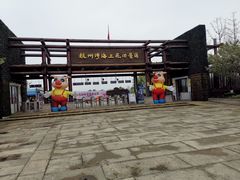 -杭州湾海上花田景区