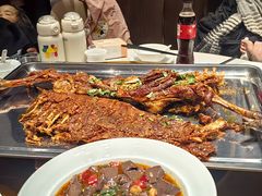 -圣厨牛腩(青春岛社区玉寿苑店)