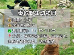 -老版火锅.12年西安排队王(沣峪口店)
