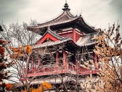 -西安青龙寺遗址景区