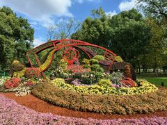 -上海共青森林公园